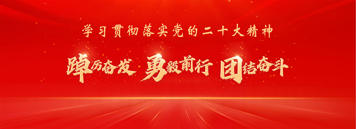 学习贯彻落实党的二十大精神